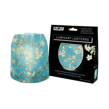 Luminary Lantern - Van Gogh Almond Blossom