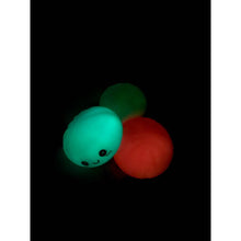 GLOW IN DARK Mystery Dumpling Squishy with Steamer